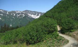 Mt_roberts-alpine-trailmt_roberts-sarah-fullilove-org2km
