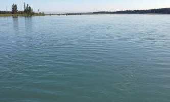 Soldotna-bnb-alaska-fishing-charters-IMG_1230-ohfj6v