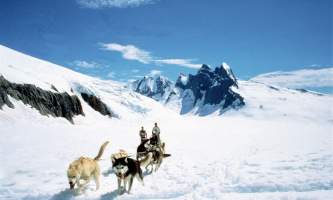 Temsco skagway dog sledding and glacier flightseeing by helicopter dog sled coming toward you rsz p236xa