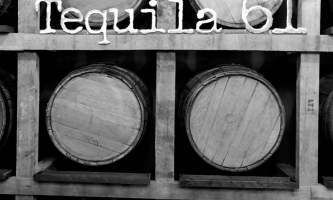 Tequila 61 66 a p9i0s3