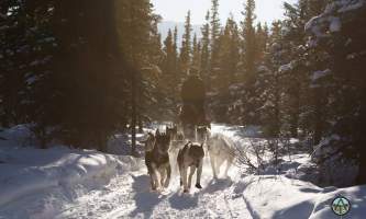 Traverse alaska winter activities mf201703010004 pjyet4