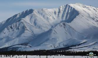 Traverse alaska winter activities mf201803100012 pjyeti