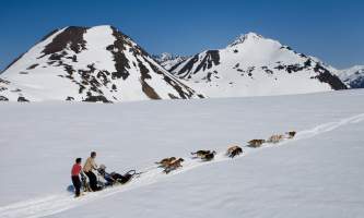 Ultimate-alaska-adventure-Alipine_Air_Dogsledding2_LLA1-pdvukv