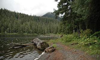 Young lake north cabin 05 mqie03