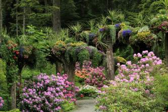 2017 glacier gardens rhodies p0nt6s
