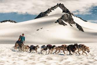 Glacier dog sledding godwin glacier 6 oyndyo