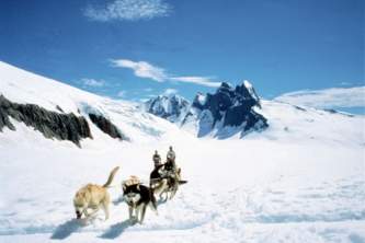 Temsco skagway dog sledding and glacier flightseeing by helicopter dog sled coming toward you rsz p236xa