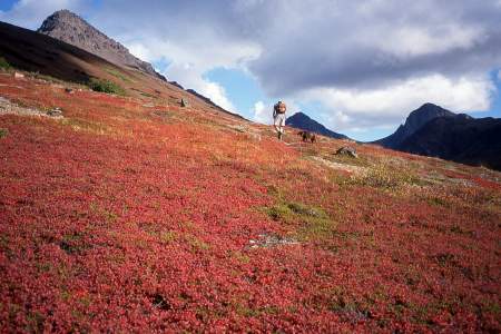 Rendezvous Peak Trail