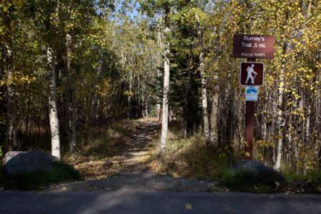 Burney's Trail