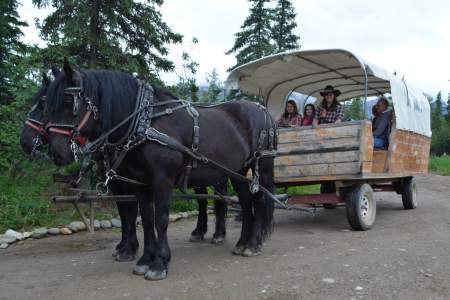 Denali Black Diamond Covered Wagon