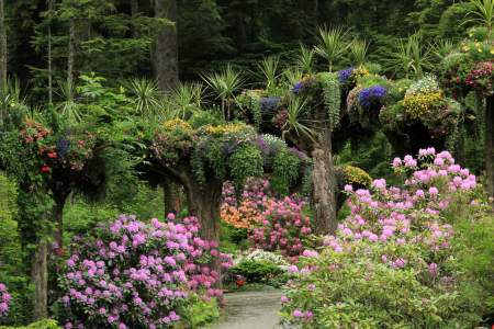 Glacier Gardens Rainforest Adventure