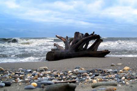 Nome Beach