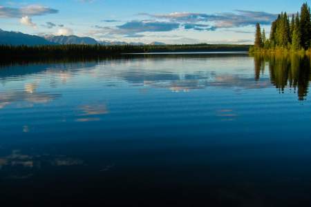 Alaska Nature Guides Wilderness Day Hikes