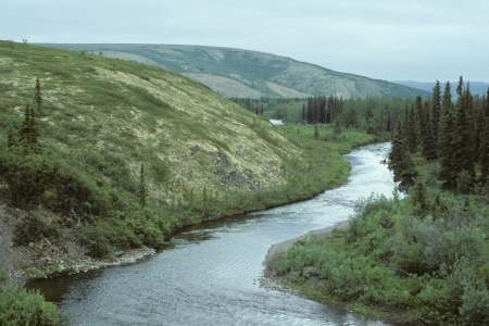 Anvik River
