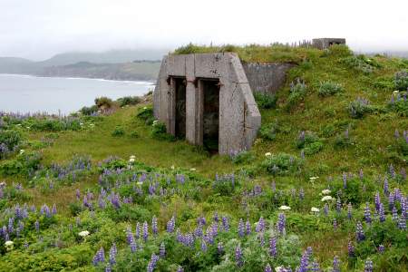 Fort Greely