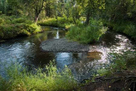 Chester Creek Trail