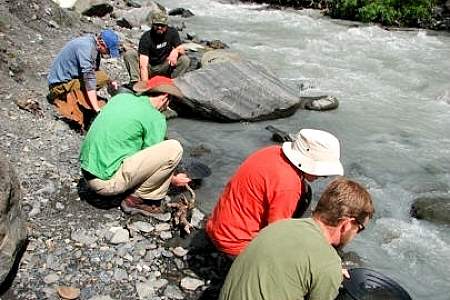 Public Mining Sites, Parks, Tours and Other Attractions - Gold Prospecting  