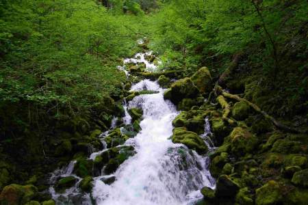 Falls Creek Trail