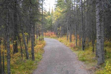 Roadside Trail