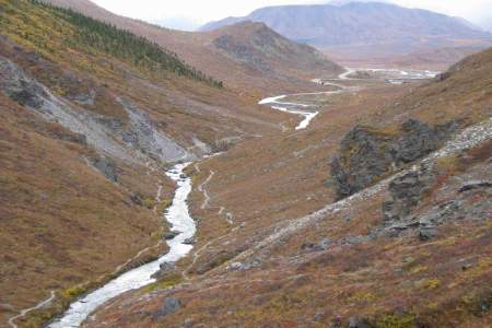 Savage River Loop Trail - Look for Dall Sheep & Caribou (Mile 15)