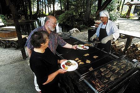 Alaska Gold Panning Tours