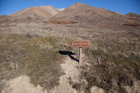 Sable Pass - Look For Bears, Wolves & Caribou: Mile 39.05 Denali Park Rd