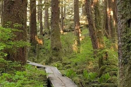 Lagoon Trail