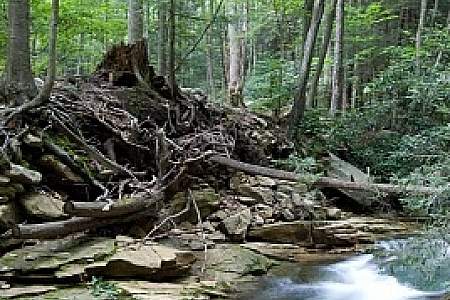 Middle Fork Loop