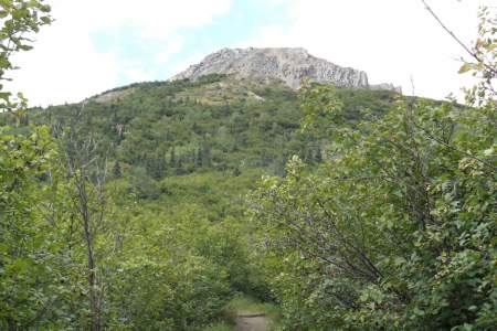 Mount Healy Overlook Trail (Mile .75)