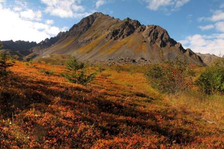 Alaska Parks & Hiking Trails, Details on Nearly Every…