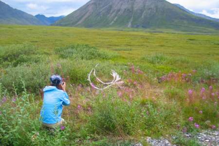 Northern Alaska Tour Company Arctic & Arctic Circle Tours