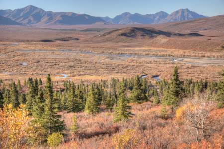 First Denali (McKinley) View In Denali Park
