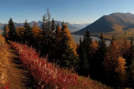 Alaska Parks & Hiking Trails, Details on Nearly Every…