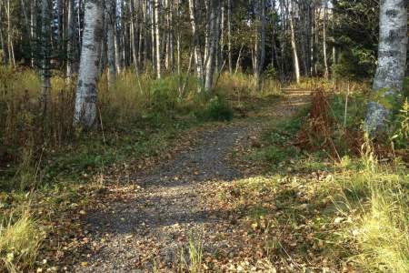 Ray Clapp Trail
