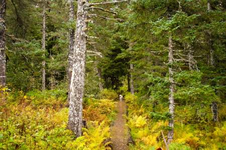 Rocky Ridge Trail