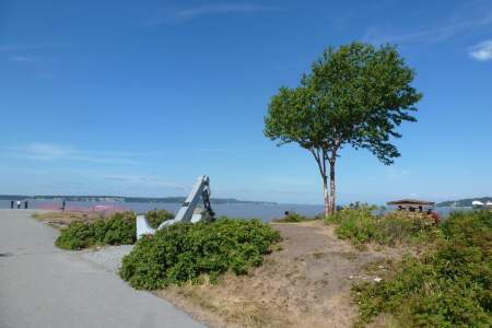 Ship Creek Park
