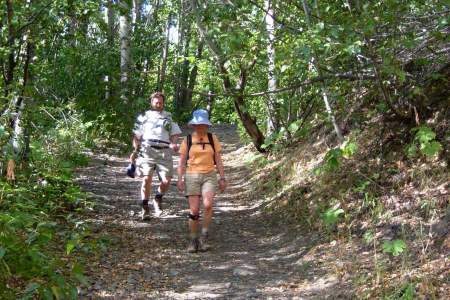 Bird Ridge Trail