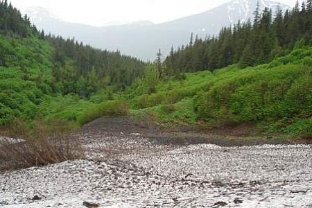 Victor Creek Trail
