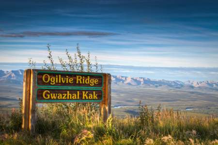 Last View Ogilvie Mountains