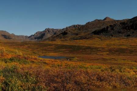 Craigie Creek Trail