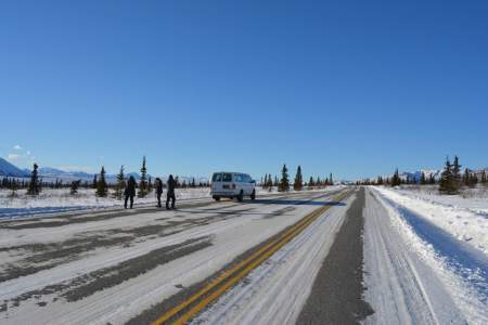 Denali Winter & Spring Drive Adventure