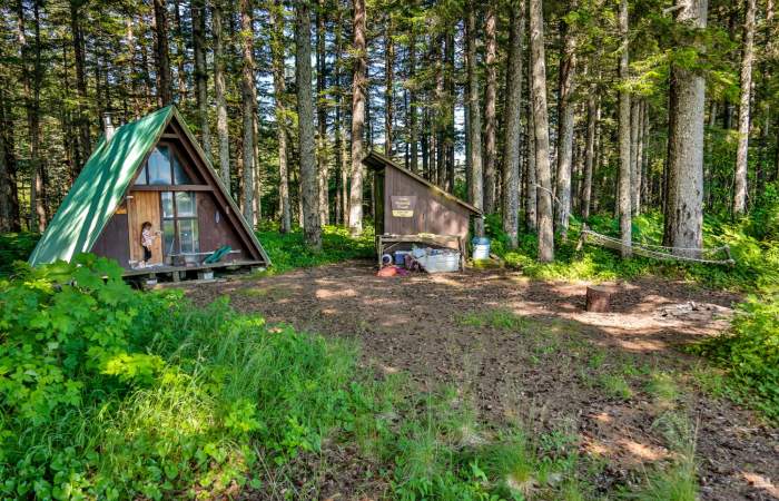 Hook point cabin and woodshed 16 a6633 nrs0pw