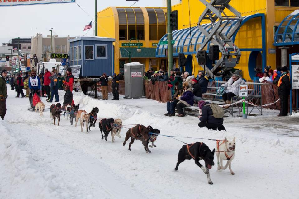 Anchorage Fur Rendezvous Festival & Iditarod