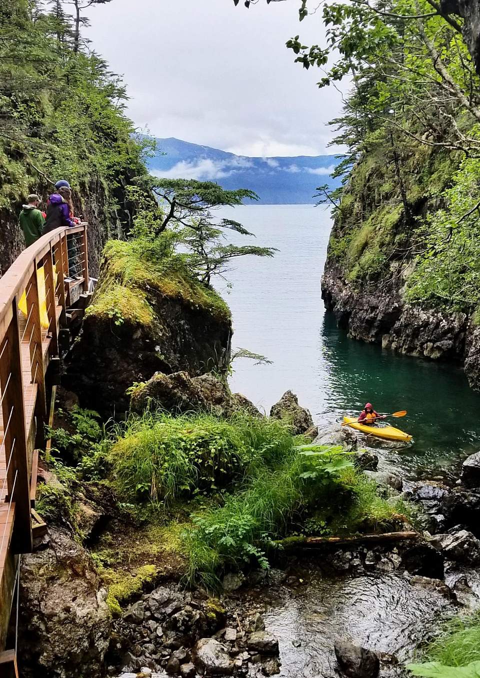 Kayaker paddling in the bay right from Shearwater Cove in Seward, Alaska