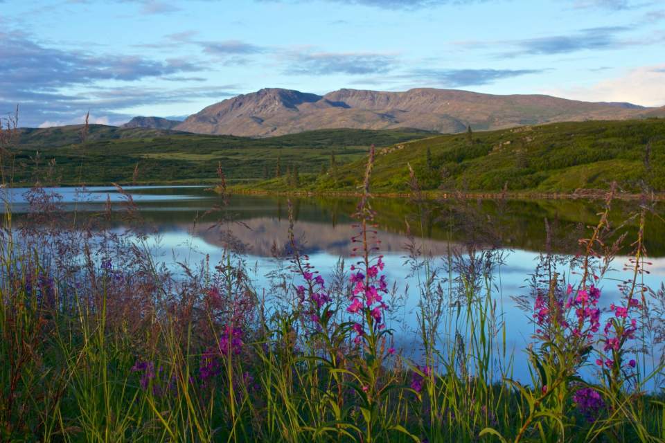 Experience a fly-in wilderness lodge located in Talkeetna