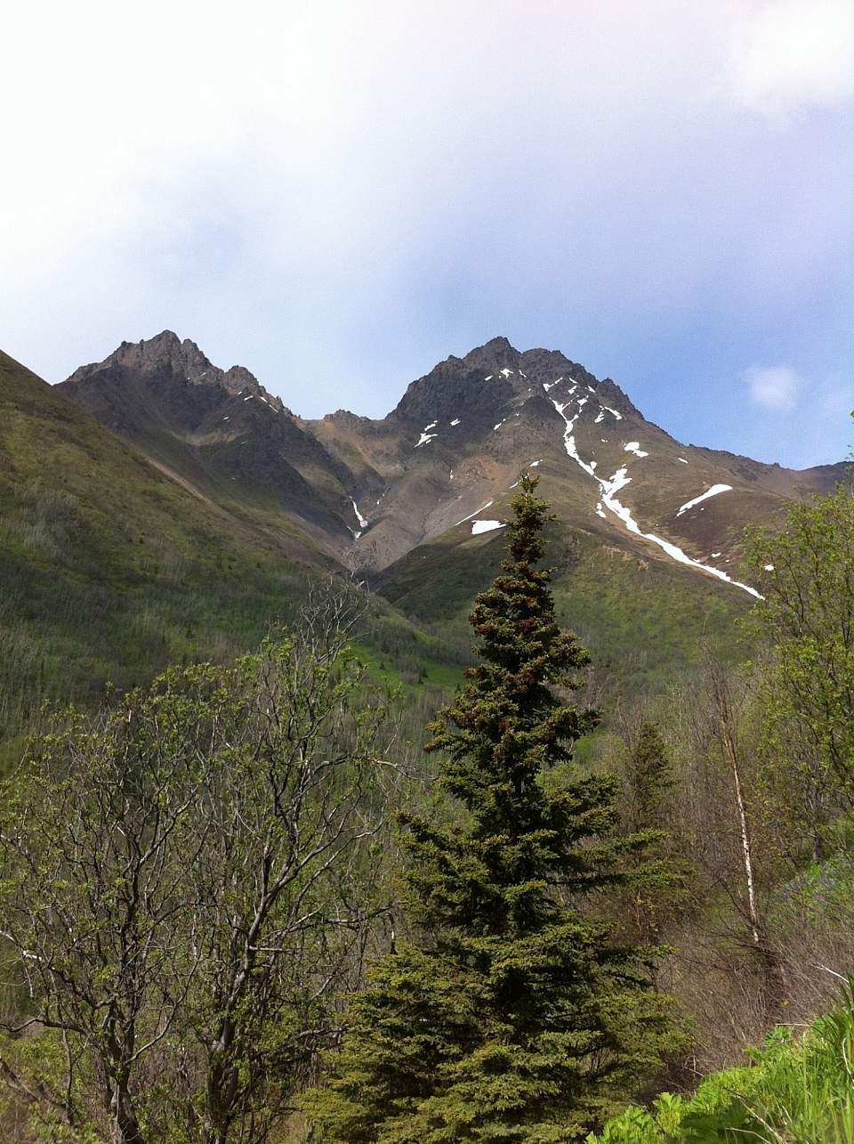 Twin-Peaks-Trail IMG_0431-ov8xcb
