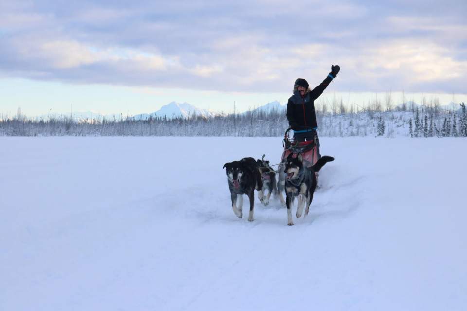 Experience the famous Iditarod route