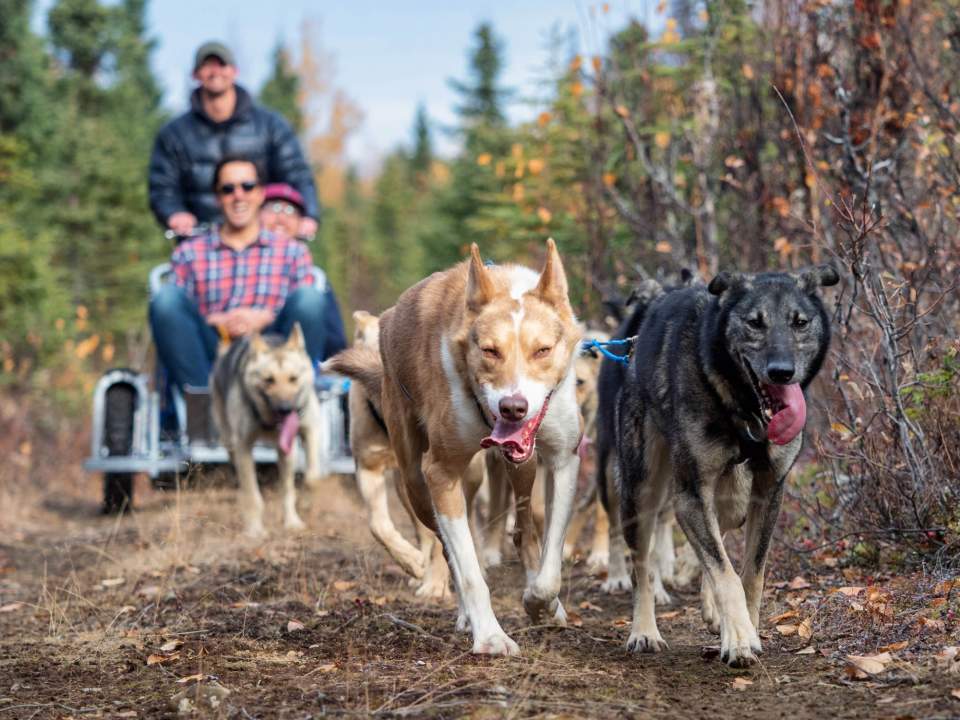 Travel over real training trails and up and down hills