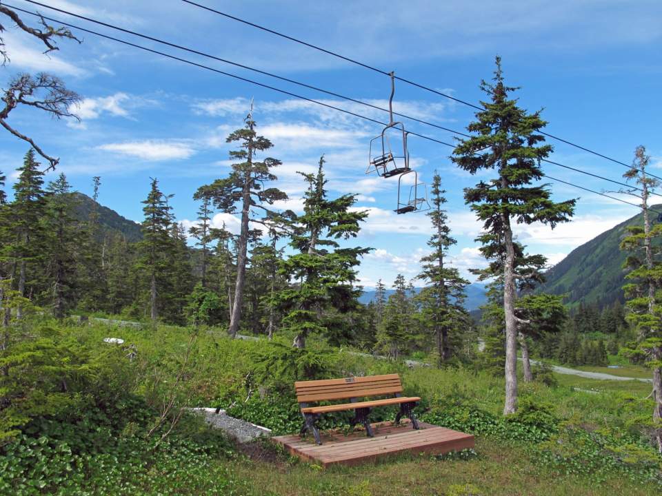 Summer brings its own fun: hike the trails, ride the downhill mountain bike trail, or pick blueberries.