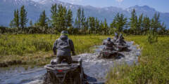 49th State Motor Tours